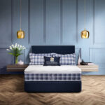 shutterstock 1028032057 hypnos ascot r1 1 (1) (1)